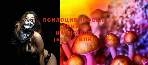ПСИЛОЦИБИНОВЫЕ ГРИБЫ Болохово