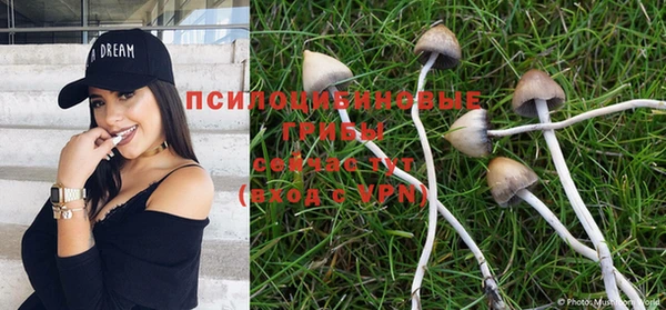 дмт Балахна