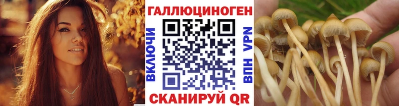Галлюциногенные грибы мицелий  где можно купить наркотик  Белово 